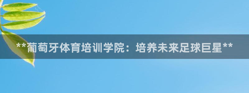 富联娱乐玩法机制是什么：**葡萄牙体育培训学院：培养