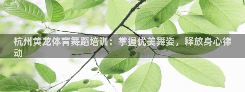 富联官网代理系列：杭州黄龙体育舞蹈培训：掌握优美舞姿