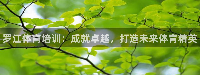 富联官方网站入口下载安卓：罗江体育培训：成就卓越，打